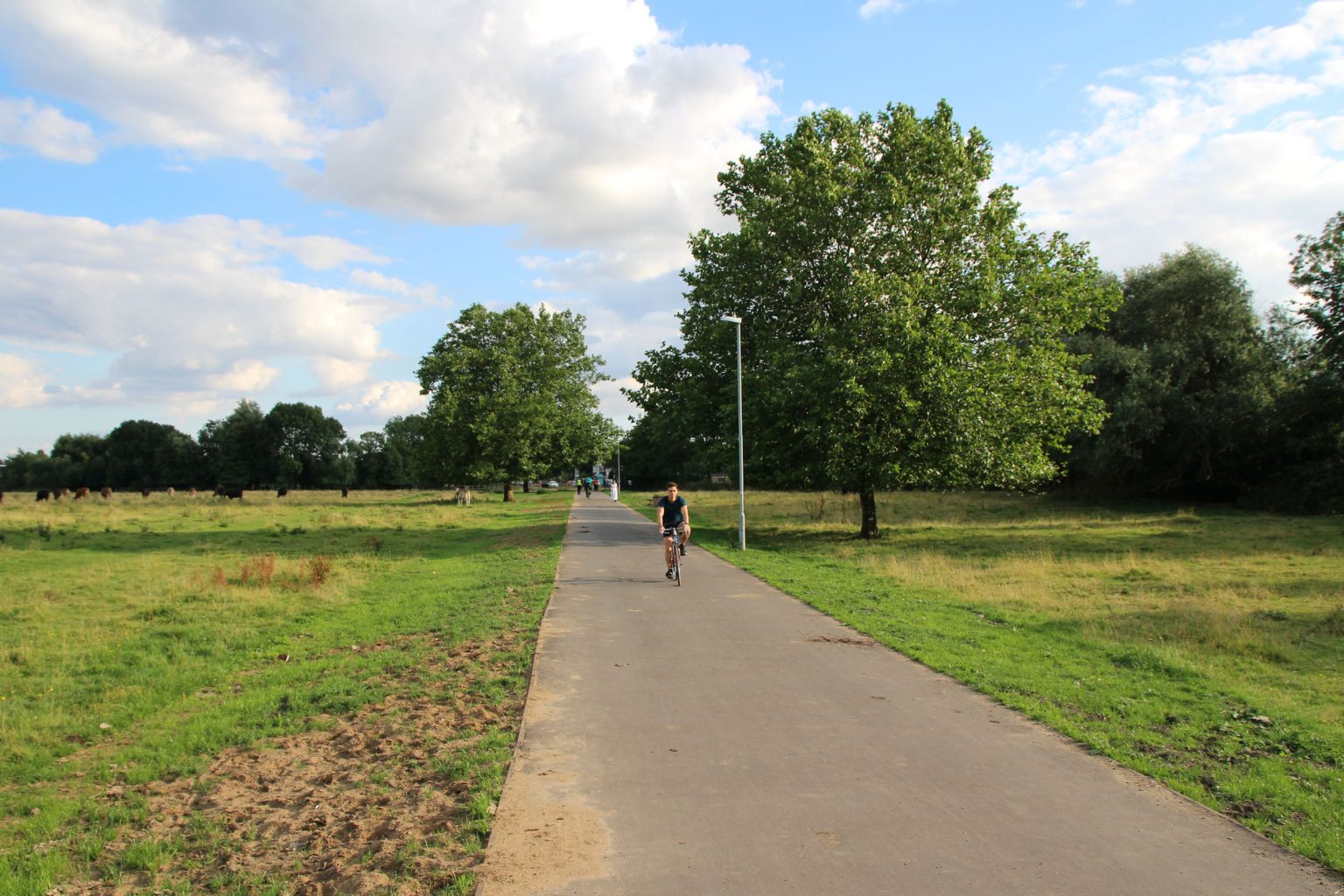Coldham's Common south of the railway