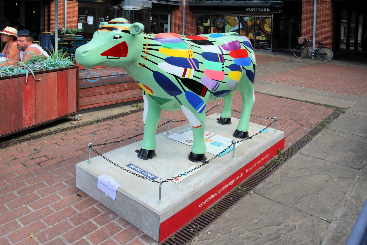 Cow 24 "Udders & Rudders" - setting