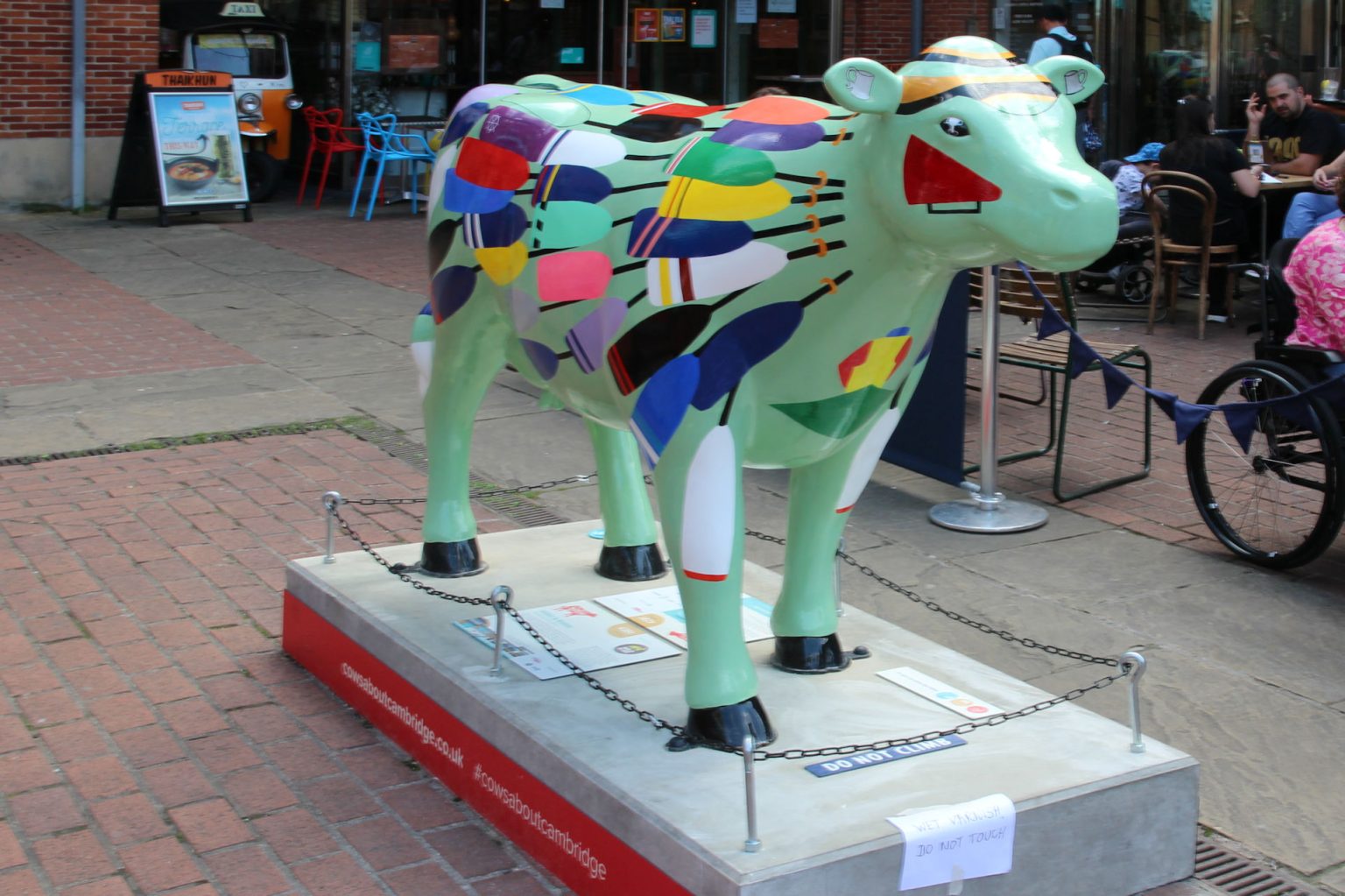  Cow 24 "Udders & Rudders"