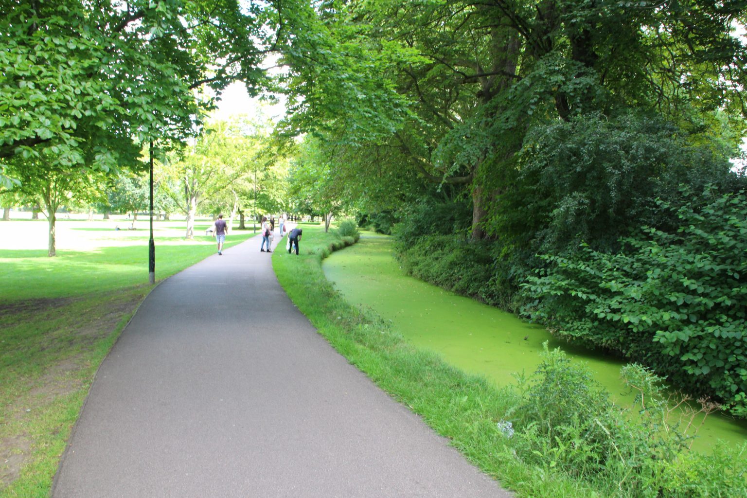 Path alongside Jesus Ditch