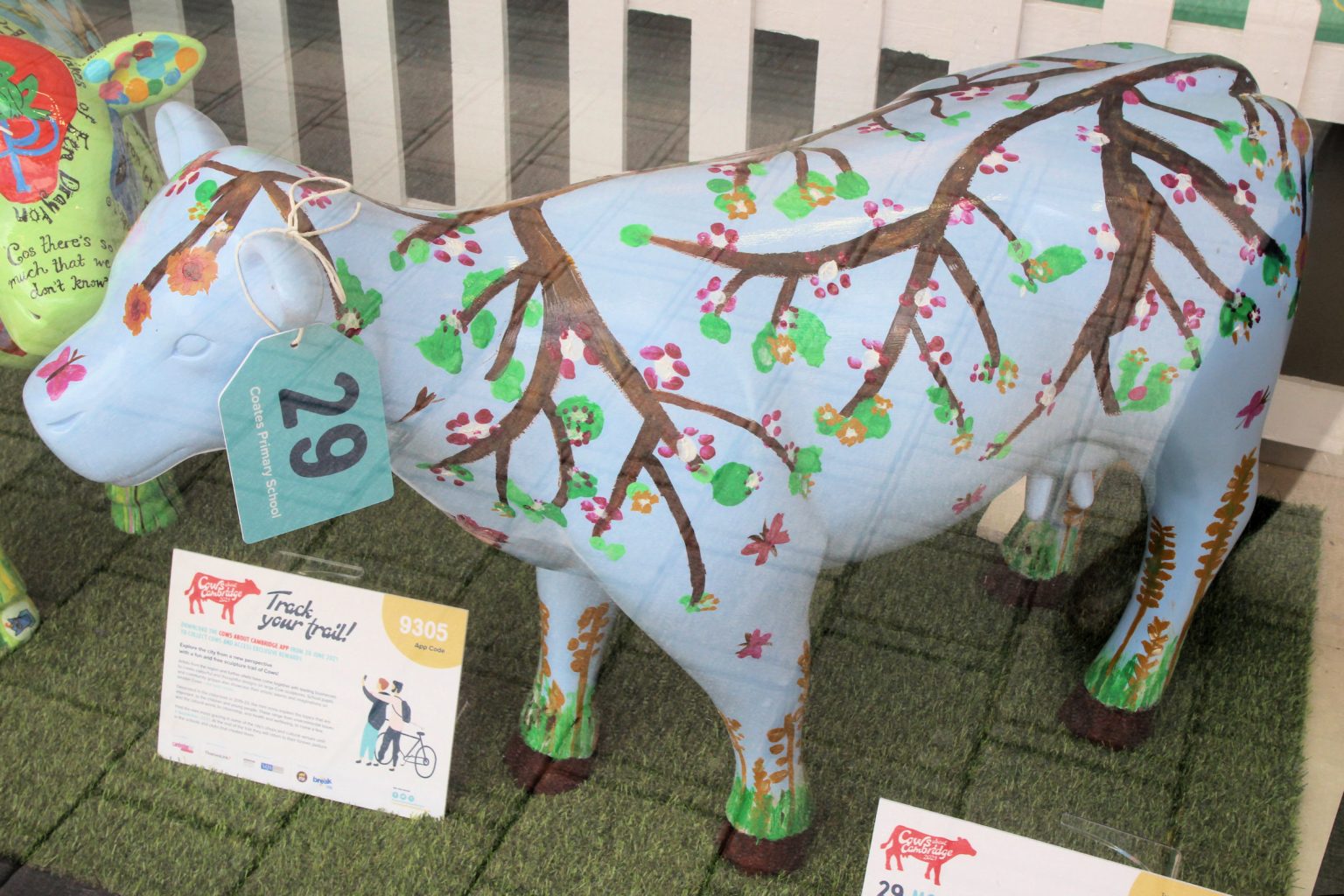 Mini-Moo 29 "McFlurry the Fen Cow"