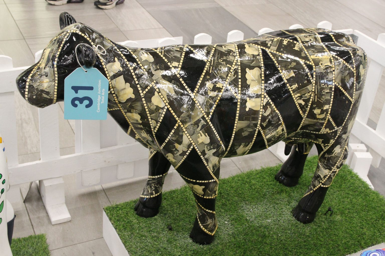 Mini-Moo 31 "Cowmeo"