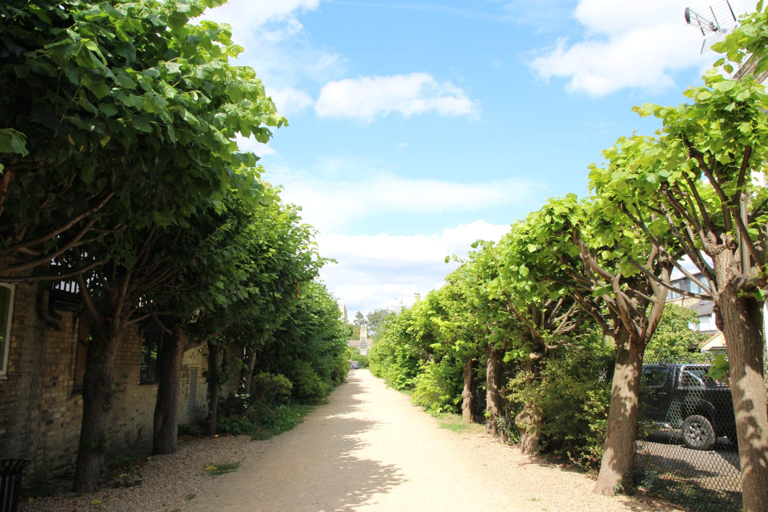 Mill Road Cemetery Avenue