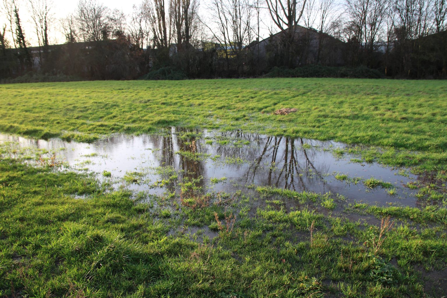 Waterlogged Coldham's Common