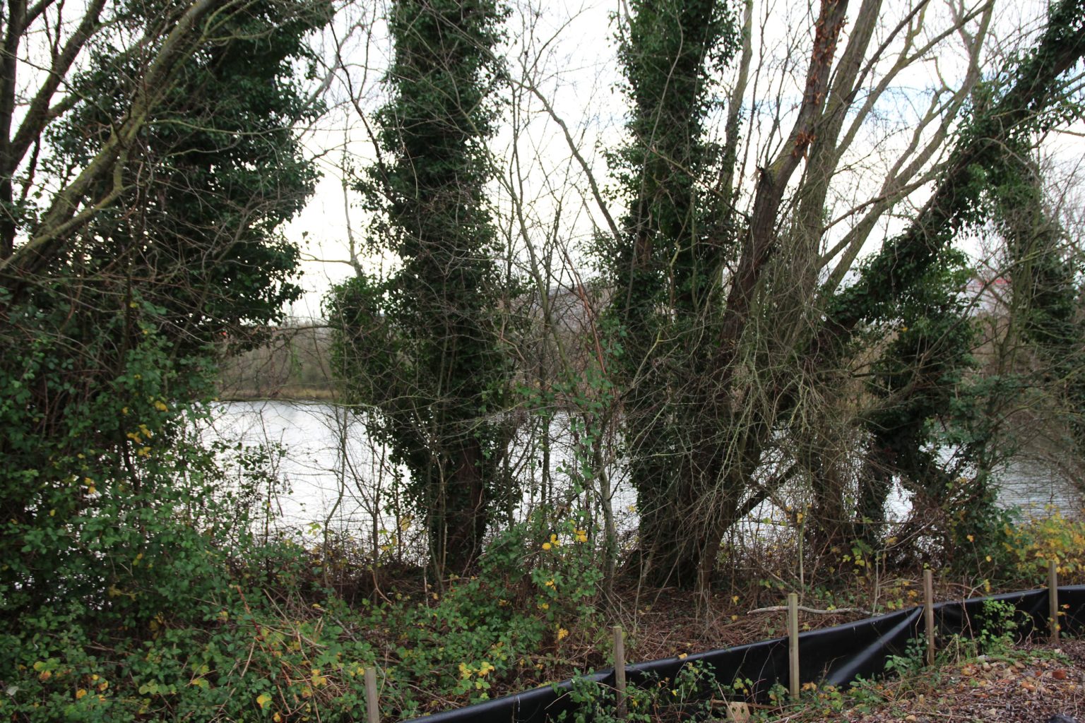 Barnwell Lake