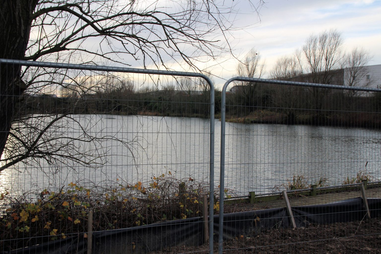 Barnwell Lake behind construction barriers